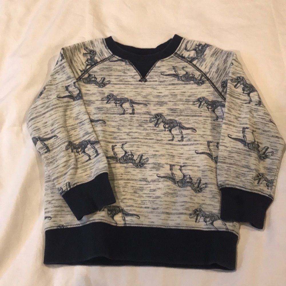 Gymboree dino sweatshirt
